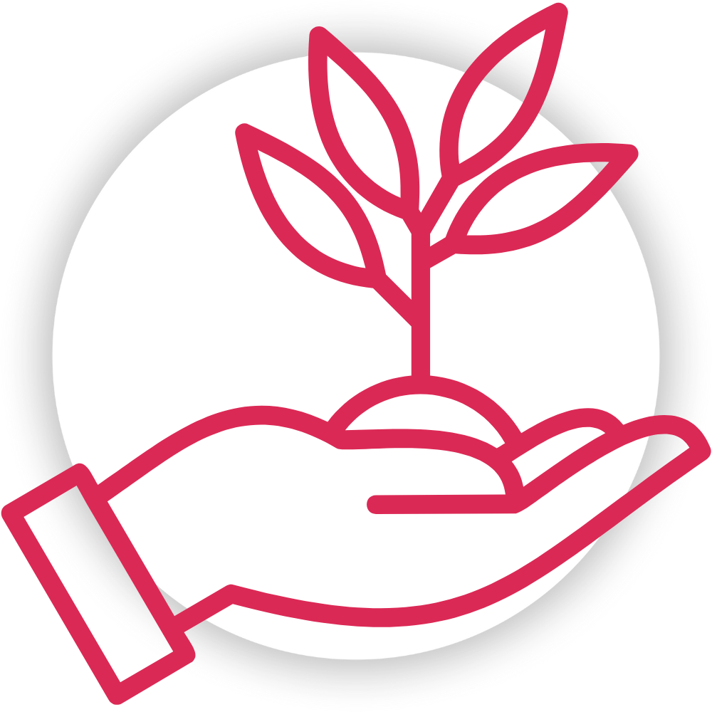Pink outline of a hand holding a plant on a white background